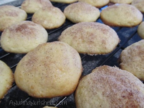 old-time cinnamon jumbles