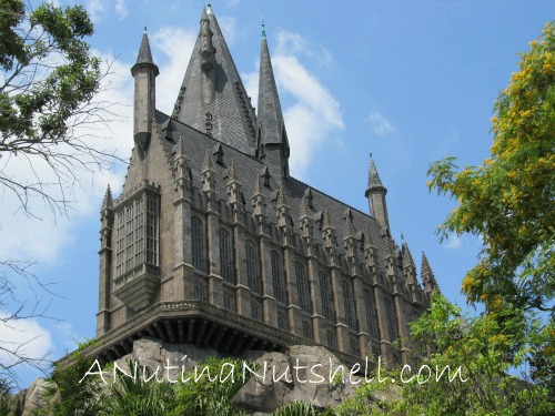 Hogwarts-Castle-Universal-Studios-Florida Hogwarts-Castle-Universal-Studios-Florida