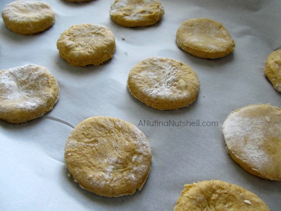 pumpkin biscuits #recipe