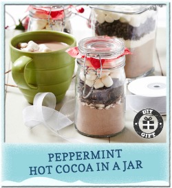 Peppermint Hot Cocoa in a Jar_Kraft Foods Hub_Walmart