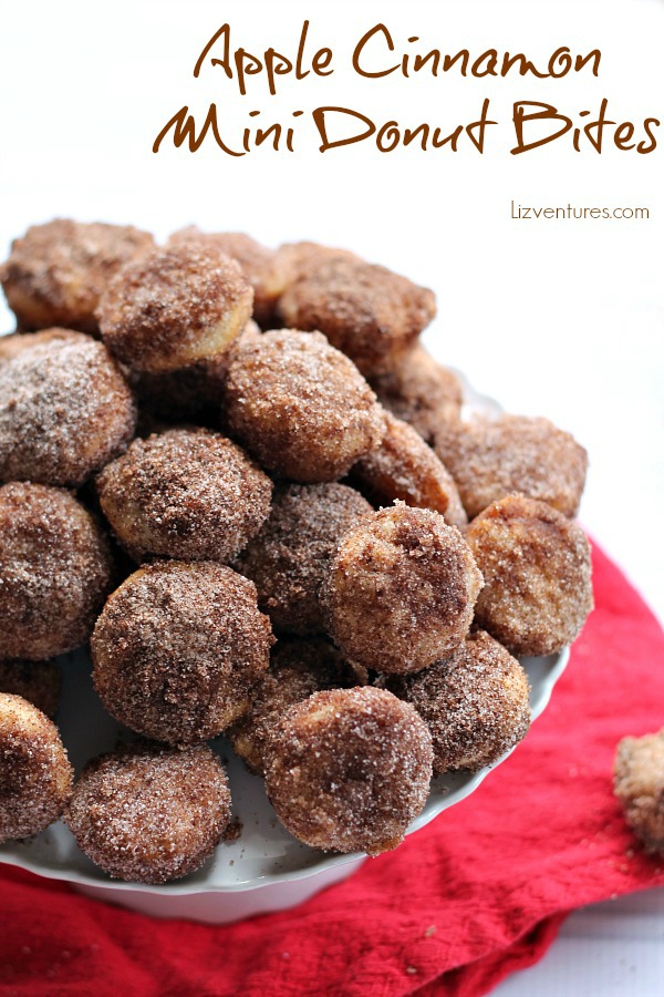 Apple Cinnamon Mini Donut Bites