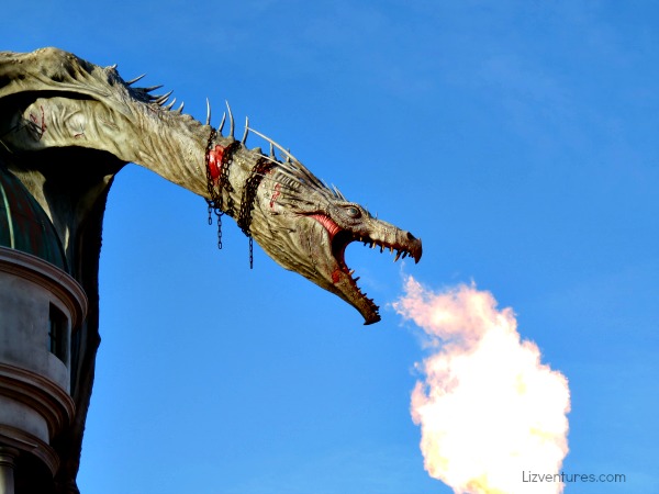 fire-breathing dragon in Diagon Alley