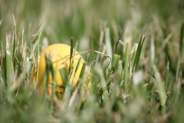 outdoor Easter egg hunt