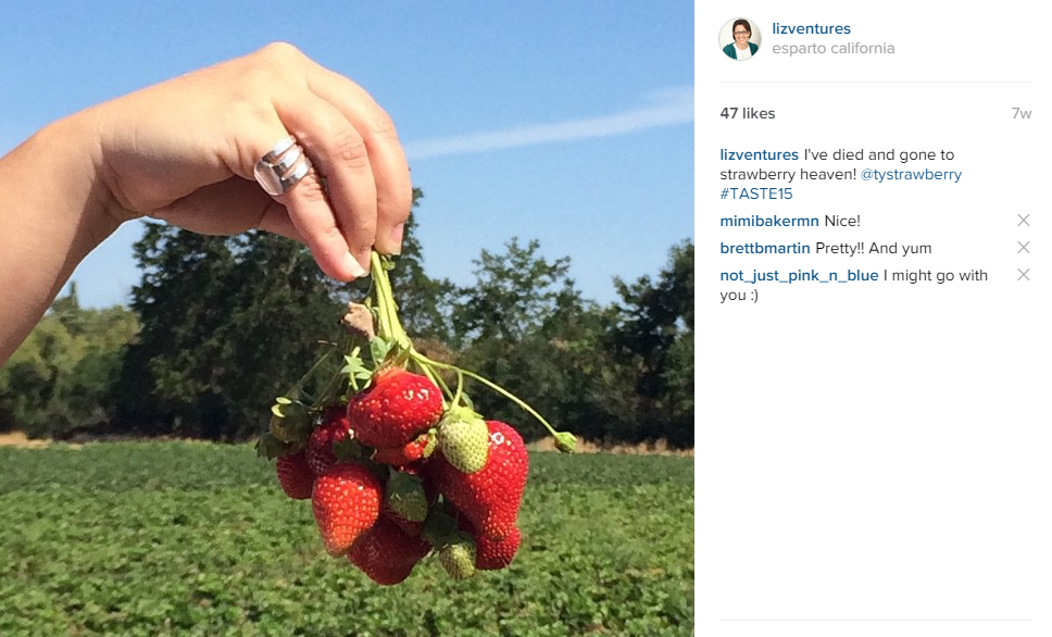 farm fresh strawberries