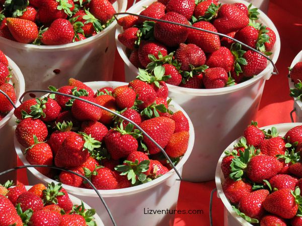 fresh strawberries from T&Y Strawberry Patch